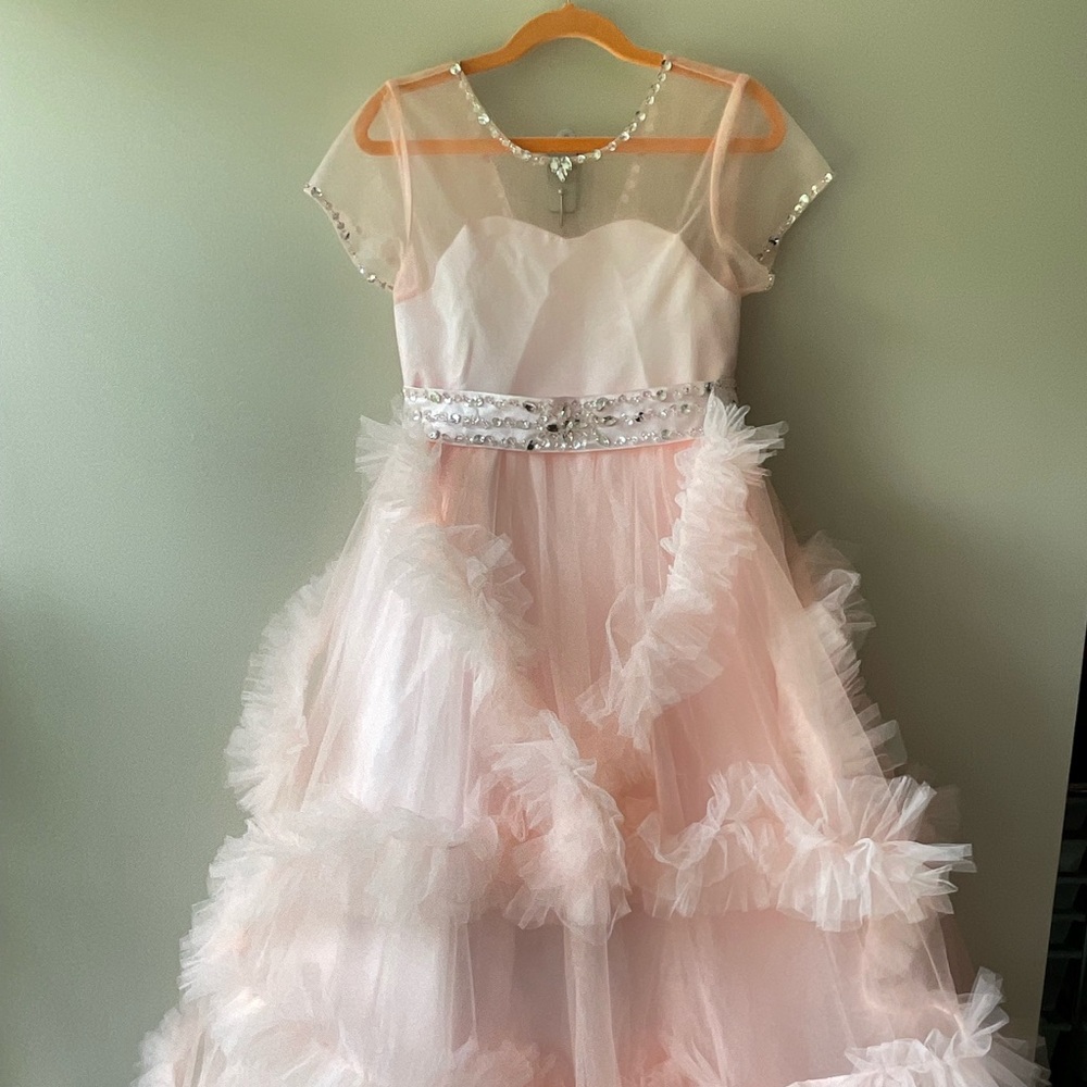 Pink Ruffled Gown with Flutter Sleeves